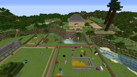 Viele bunte Schafe für Wolle